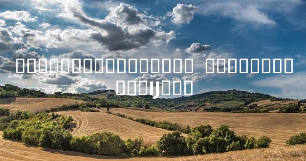 ���˳��������ػ���  �������